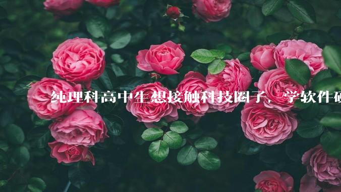 纯理科高中生想接触科技圈子,学软件硬件编程,有空自己造点东西。问问各位大佬从哪里开始了解,入门,动手?