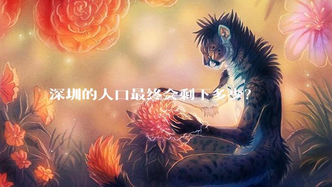 深圳的人口最终会剩下多少?