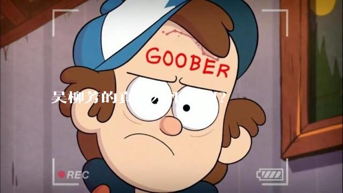 吴柳芳的真实水平如何?