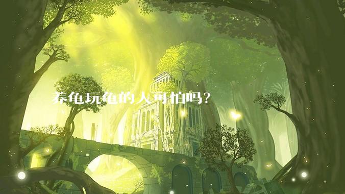 养龟玩龟的人可怕吗?