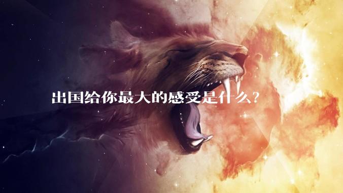 出国给你最大的感受是什么?