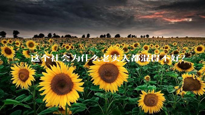 这个社会为什么老实人都混得不好?